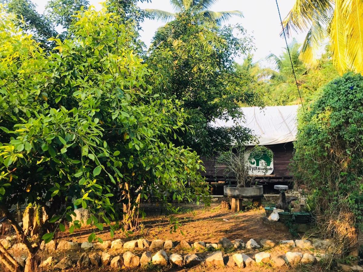 Aliya Riverside & Safari Resort Удавалаве Экстерьер фото