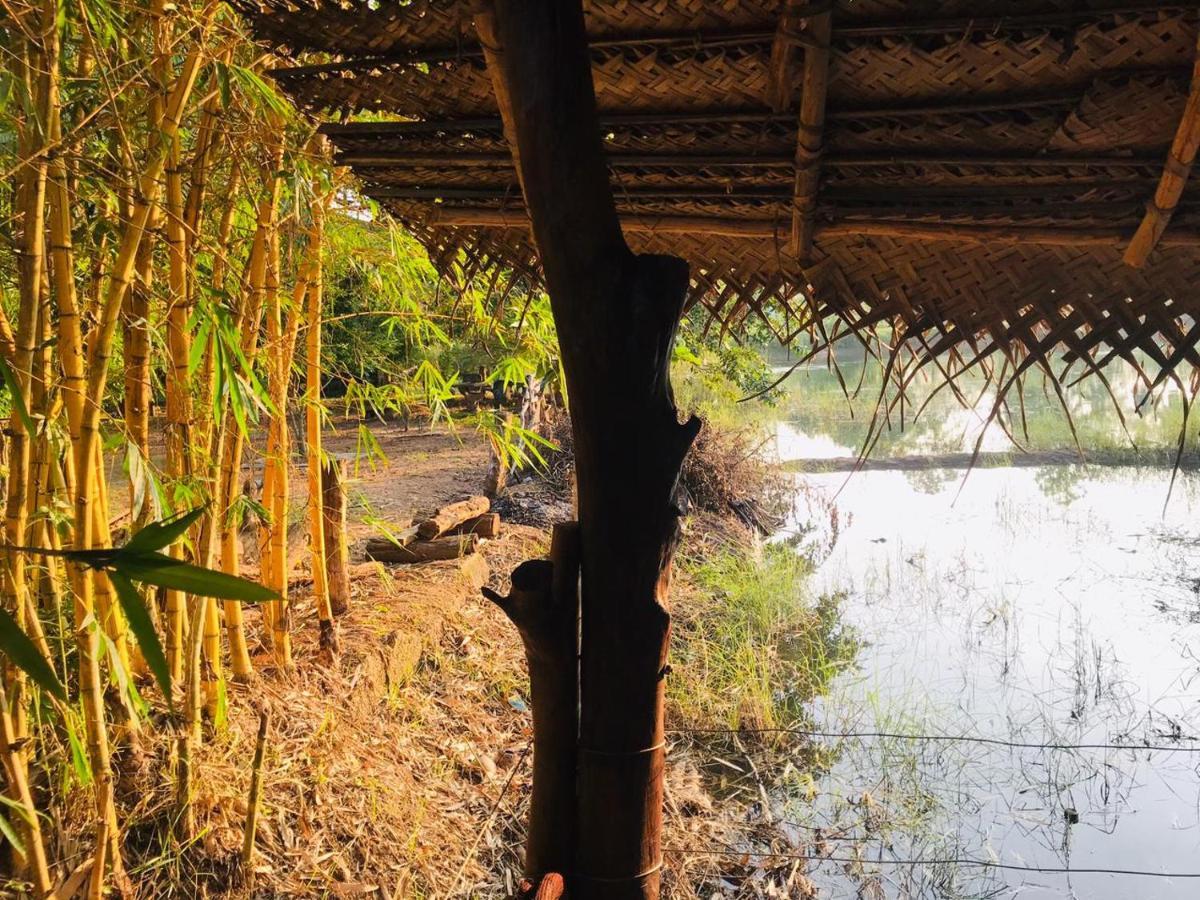 Aliya Riverside & Safari Resort Удавалаве Экстерьер фото