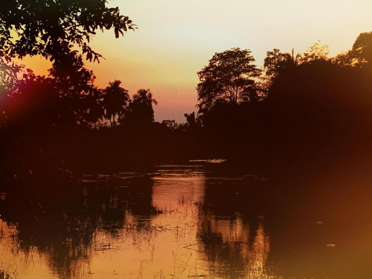 Aliya Riverside & Safari Resort Удавалаве Экстерьер фото