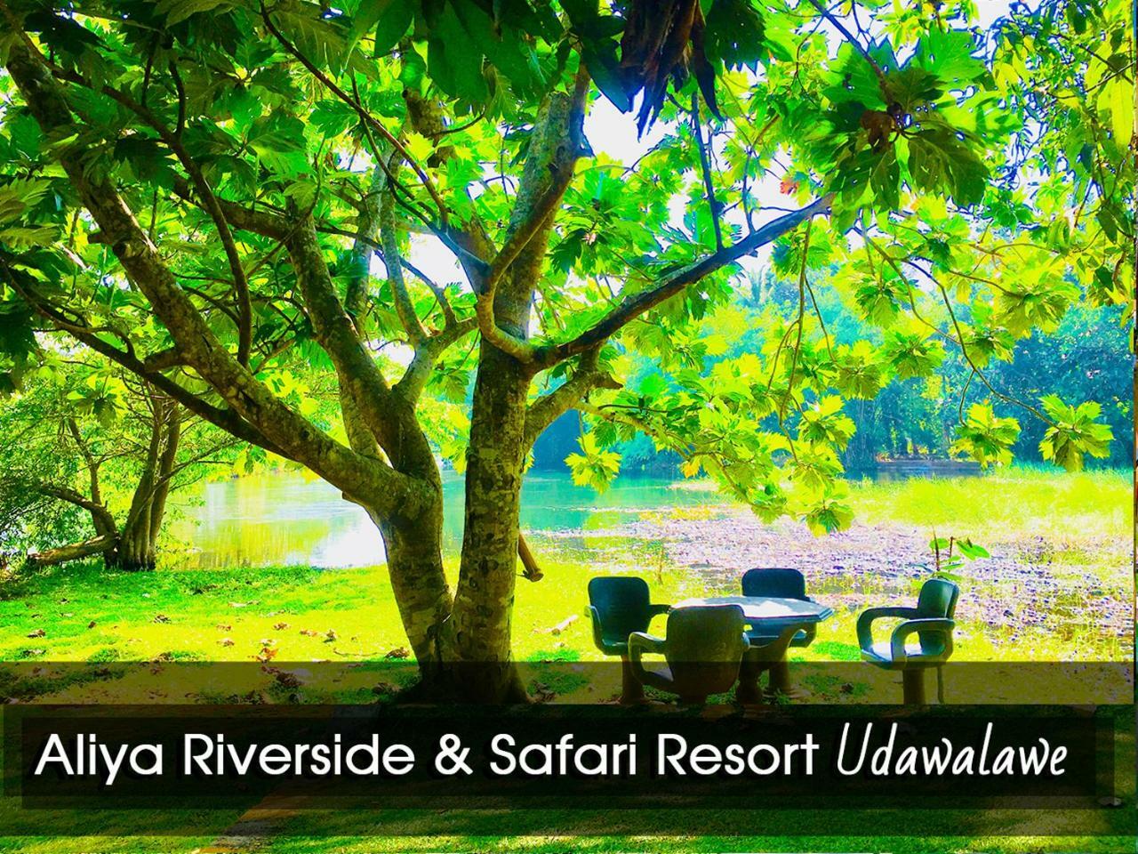 Aliya Riverside & Safari Resort Удавалаве Экстерьер фото