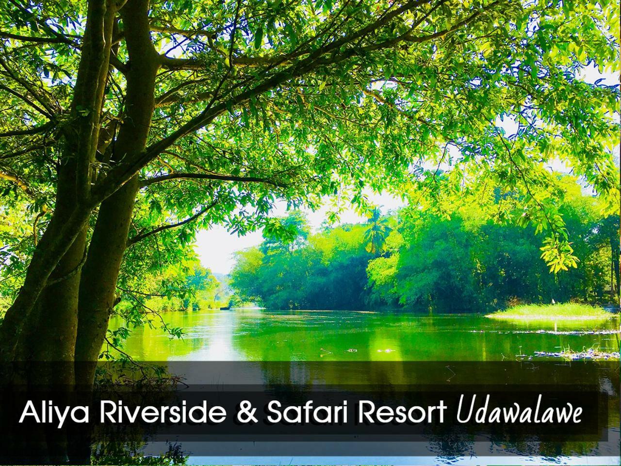 Aliya Riverside & Safari Resort Удавалаве Экстерьер фото