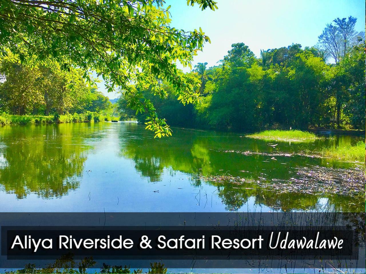 Aliya Riverside & Safari Resort Удавалаве Экстерьер фото