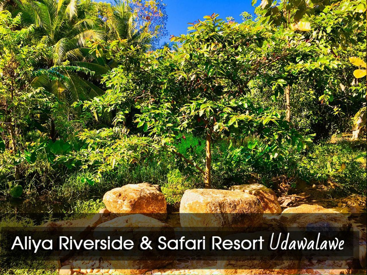 Aliya Riverside & Safari Resort Удавалаве Экстерьер фото