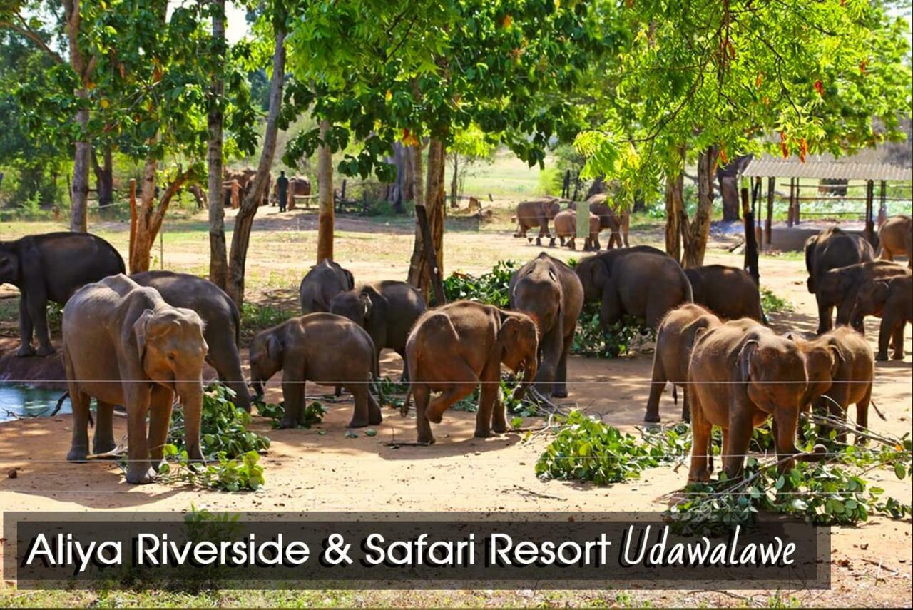 Aliya Riverside & Safari Resort Удавалаве Экстерьер фото