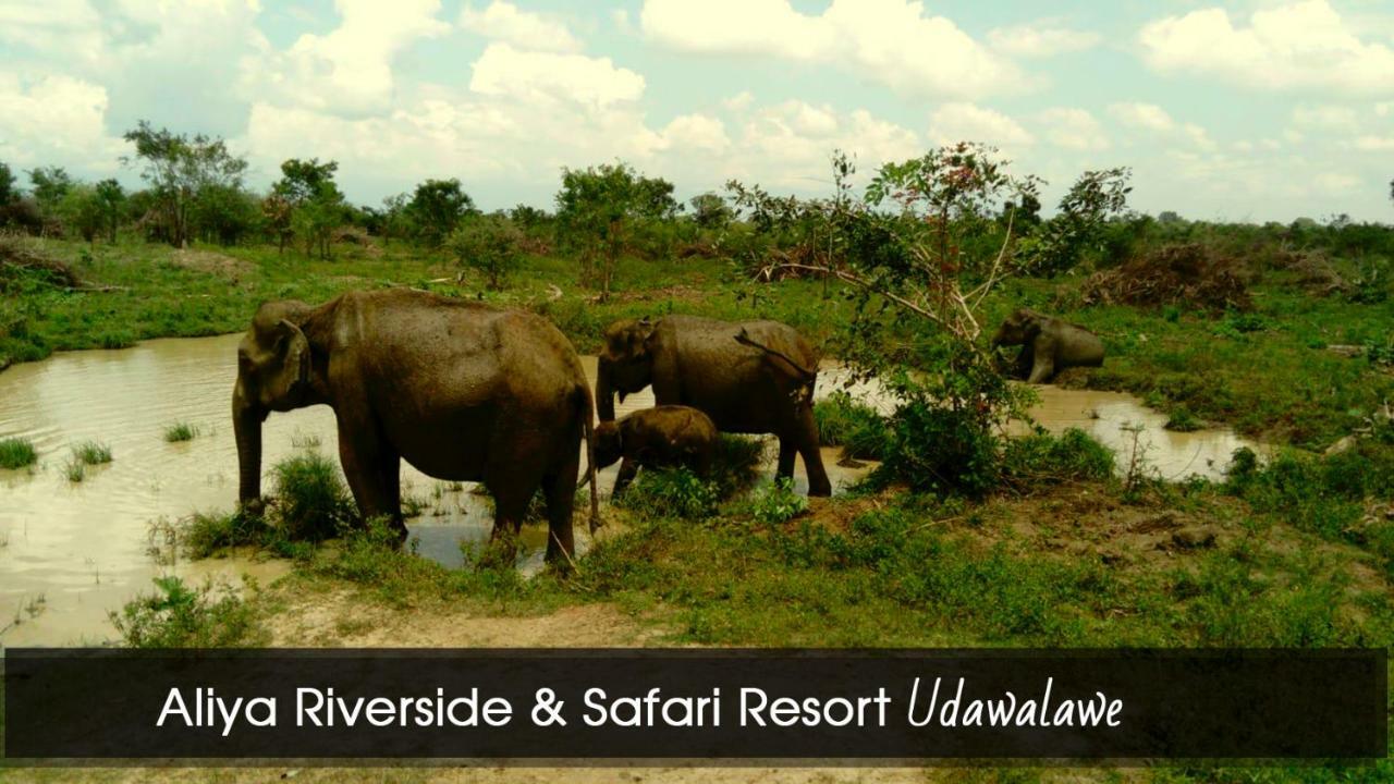 Aliya Riverside & Safari Resort Удавалаве Экстерьер фото