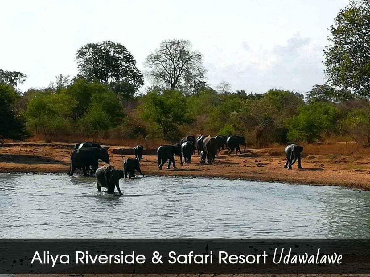 Aliya Riverside & Safari Resort Удавалаве Экстерьер фото