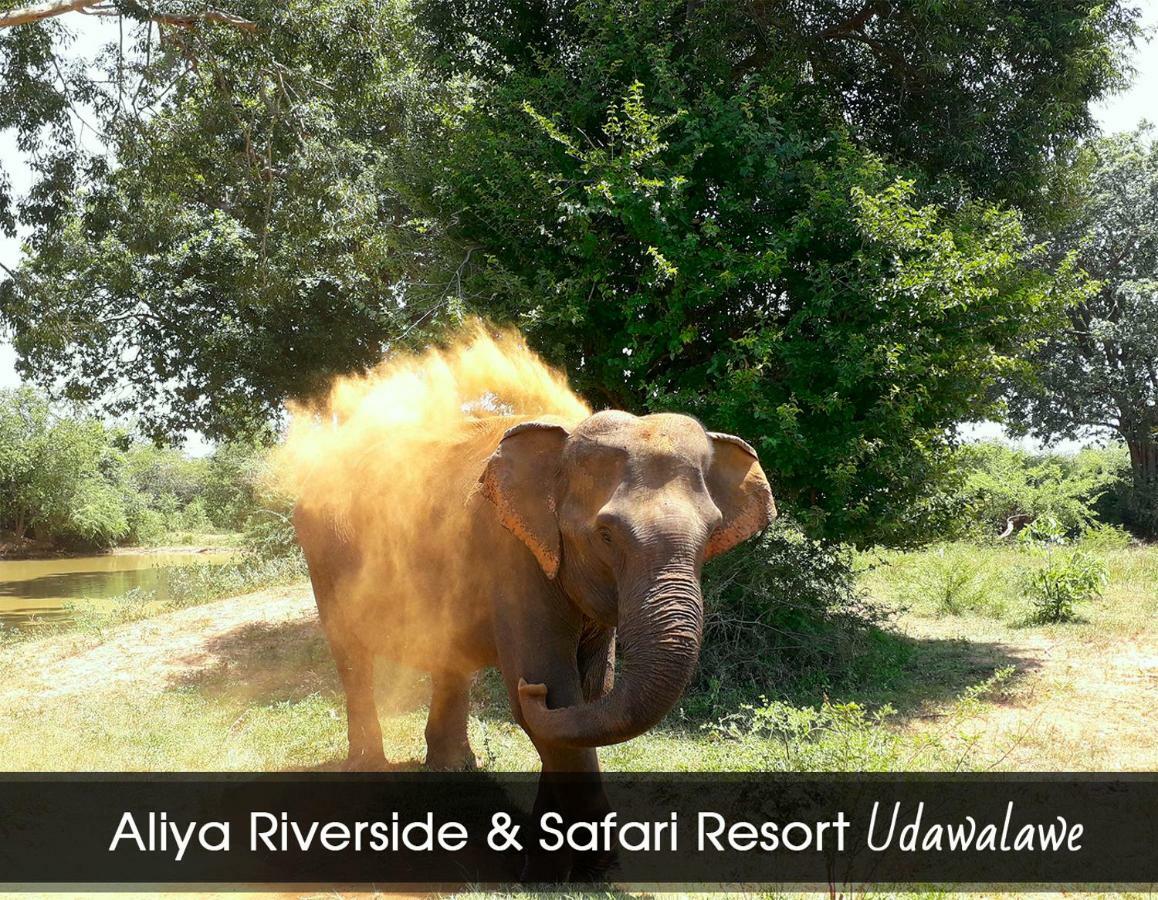 Aliya Riverside & Safari Resort Удавалаве Экстерьер фото