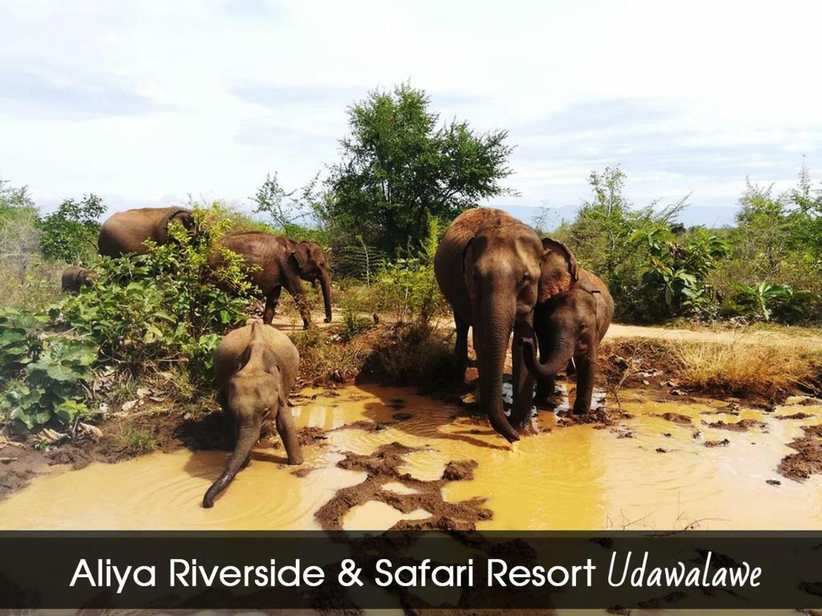 Aliya Riverside & Safari Resort Удавалаве Экстерьер фото