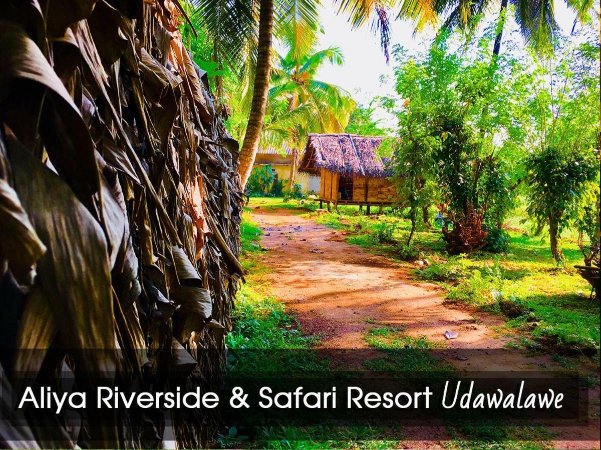 Aliya Riverside & Safari Resort Удавалаве Экстерьер фото