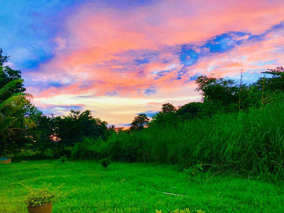 Aliya Riverside & Safari Resort Удавалаве Экстерьер фото