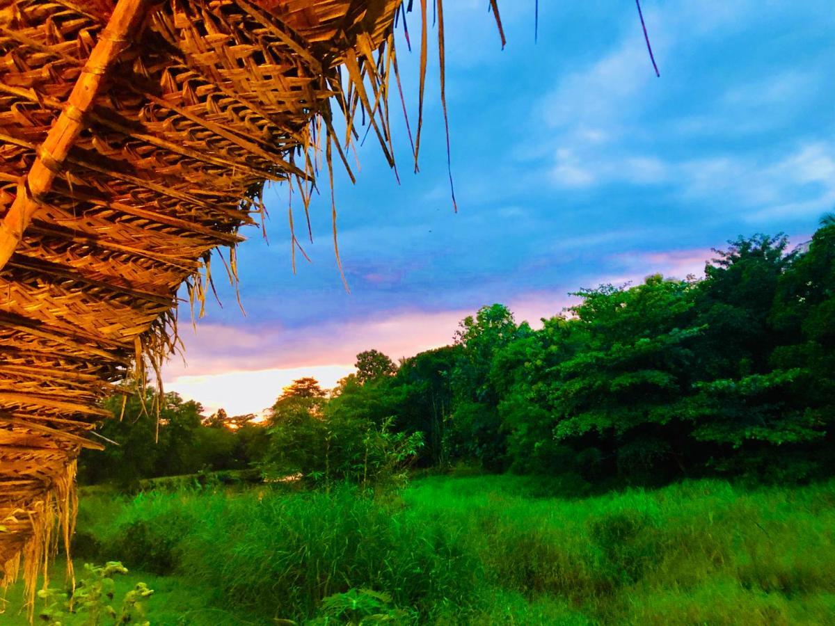 Aliya Riverside & Safari Resort Удавалаве Экстерьер фото